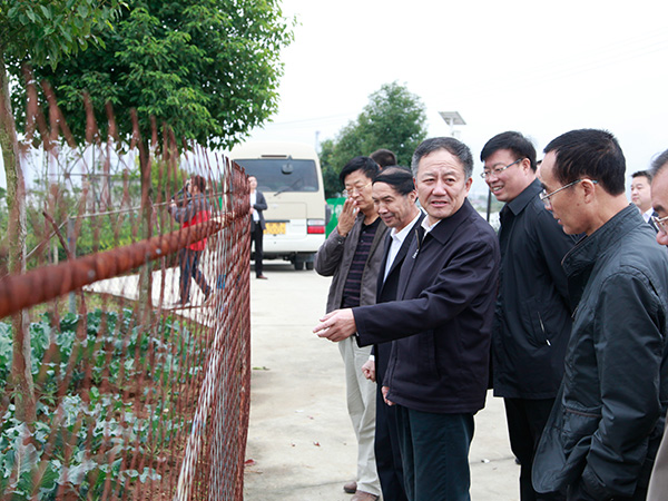 省統戰部部長(cháng)陳強