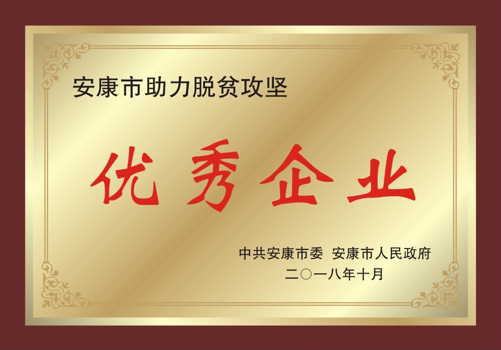 陽(yáng)晨公司在全市助力脫貧攻堅表彰會(huì )中被授予 “優(yōu)秀企業(yè)”和“優(yōu)秀企業(yè)家”稱(chēng)號